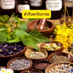 ตำรับยาบำบัดไข้และอาการวิงเวียน