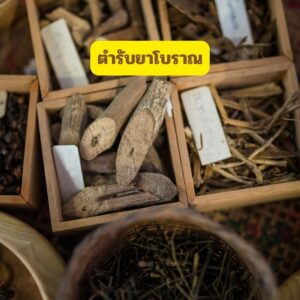 ตำรับยาบำบัดไข้และอาการวิงเวียน