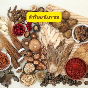ตำรับยาบำบัดไข้และอาการวิงเวียน